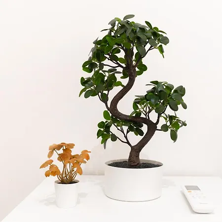 Апартаменты Princi House, Centre *